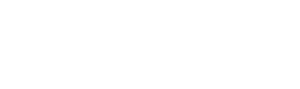 Vízia